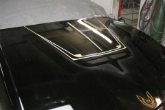 Custom Built Hood Scoop